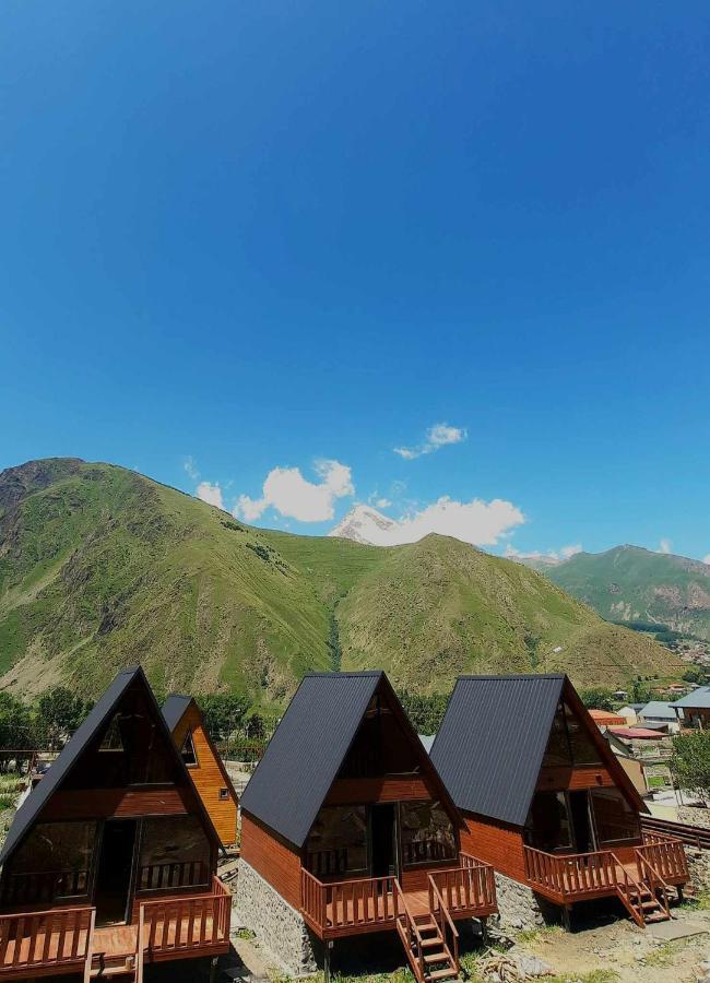 Апартаменты Trip Zone Kazbegi Экстерьер фото
