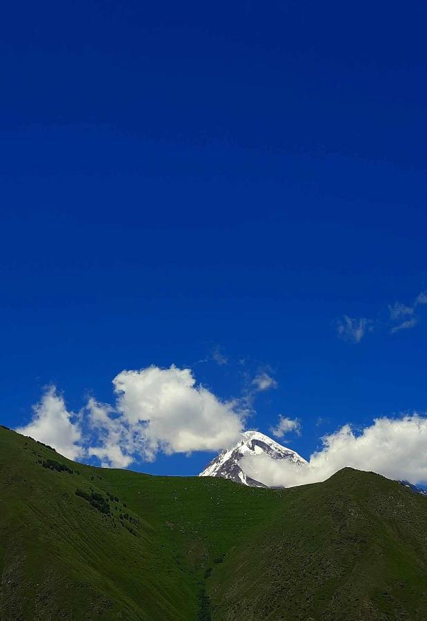 Апартаменты Trip Zone Kazbegi Экстерьер фото