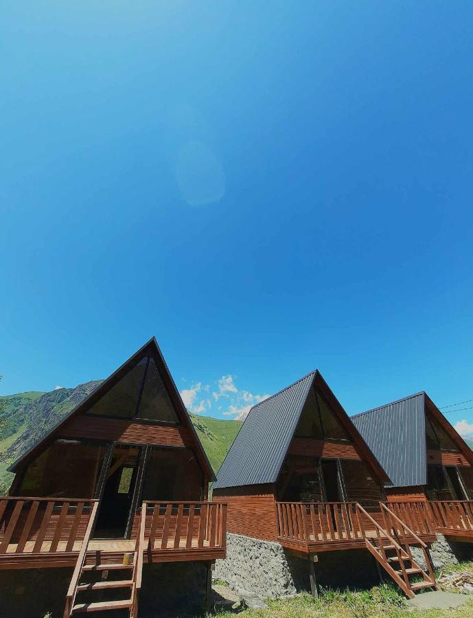 Апартаменты Trip Zone Kazbegi Экстерьер фото